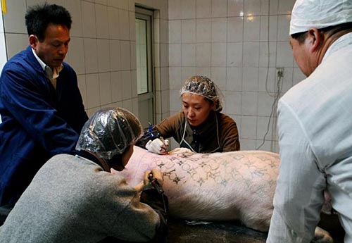Pigs Skin Tattoo Practice