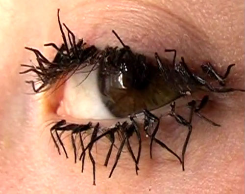 bugs eyelashes