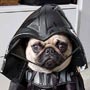 Vader Pug