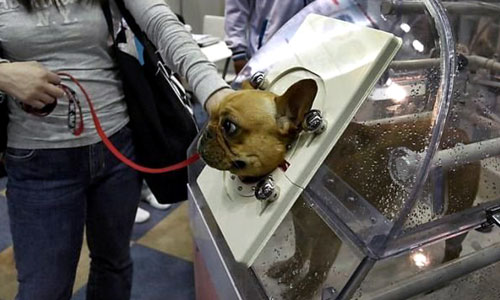 Shake Proof Enclosed Dog Bath
