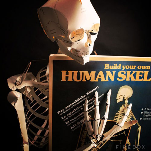 Do It Yourself Life Sized Paper Skeleton Project