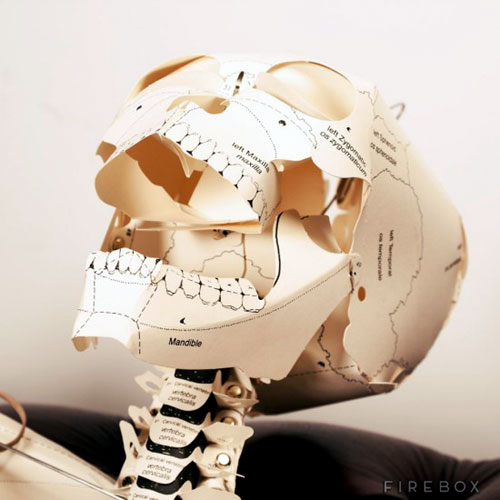 Life Sized Paper Skeleton Project
