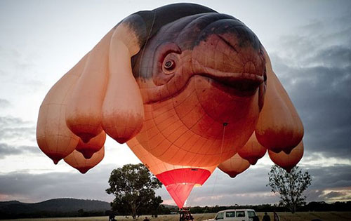 Sky Whale Hot Air Balloon