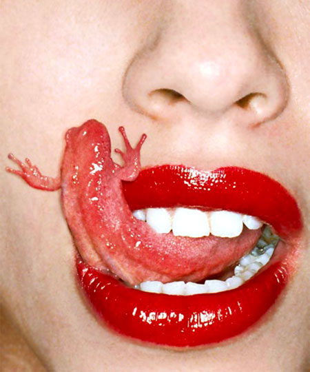 Salamander Tongue
