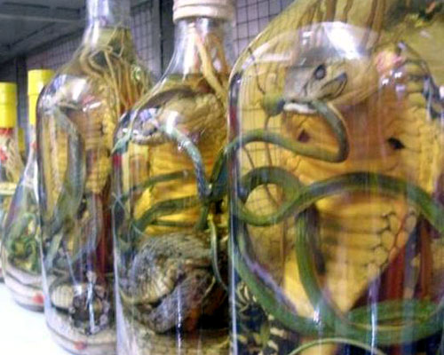 Snake Flavored Vodka