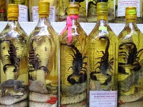 Vietnamese Snake Wine