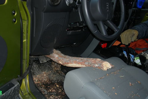 Tree Through Jeep Floorboard