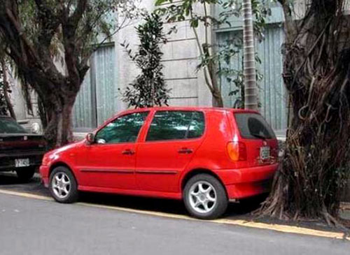 Volkswagen Golf Parked Between Trees