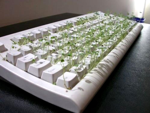 Chia Keyboard