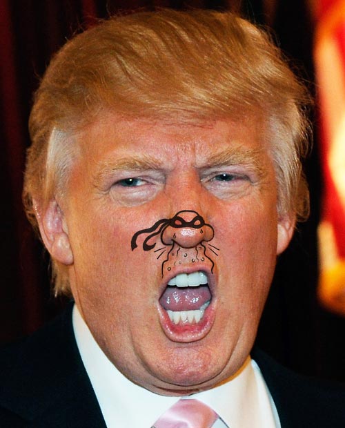 Donald Trump Ninja Turtle Nose