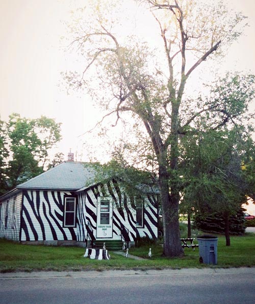 Zebra Stripes Painted House