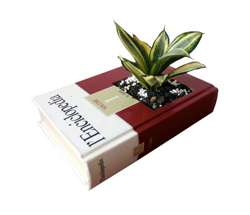 Recycled Encyclopedia Potted Plant