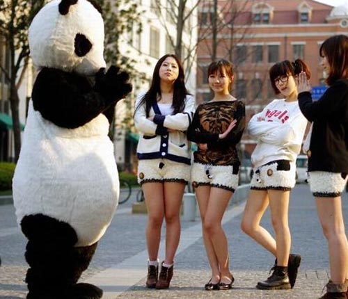Panda Shorts