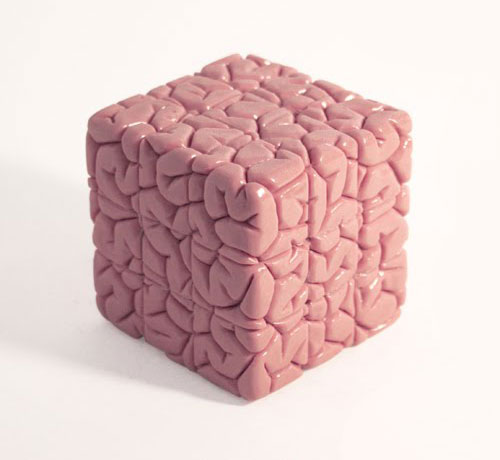 Brain Shaped Rubiks Cube