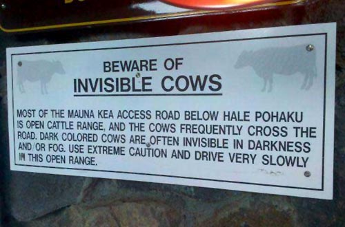 Beware Of Invisible Cows Sign