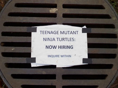 Now Hiring Teenage Mutant Ninja Turtles