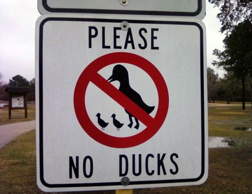 No Ducks Sign